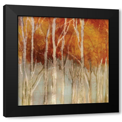 Belgium Forest I Black Modern Wood Framed Art Print with Double Matting by Selkirk, Edward