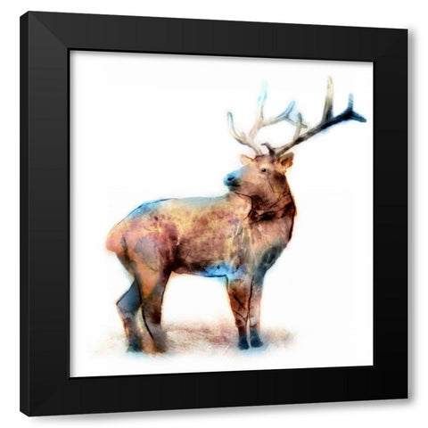 Elk Black Modern Wood Framed Art Print by Selkirk, Edward