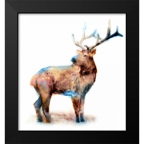 Elk Black Modern Wood Framed Art Print by Selkirk, Edward
