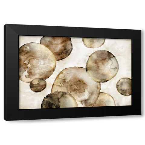 Tree Rings Black Modern Wood Framed Art Print by Selkirk, Edward