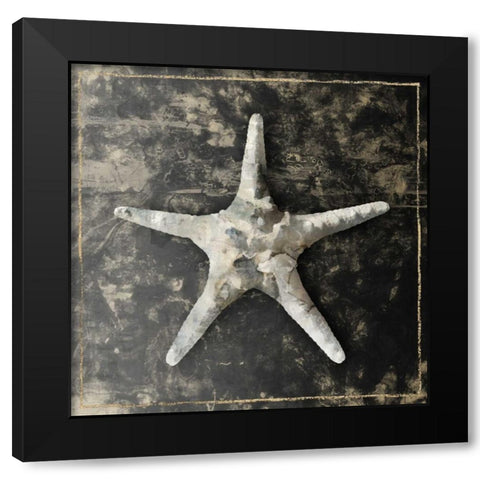 Marble Shell Series III Black Modern Wood Framed Art Print by Selkirk, Edward