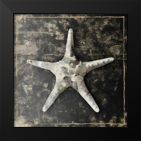 Marble Shell Series III Black Modern Wood Framed Art Print by Selkirk, Edward