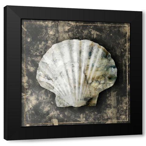 Marble Shell Series IV Black Modern Wood Framed Art Print with Double Matting by Selkirk, Edward