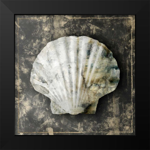 Marble Shell Series IV Black Modern Wood Framed Art Print by Selkirk, Edward