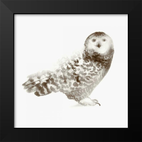 Owl Black Modern Wood Framed Art Print by Selkirk, Edward