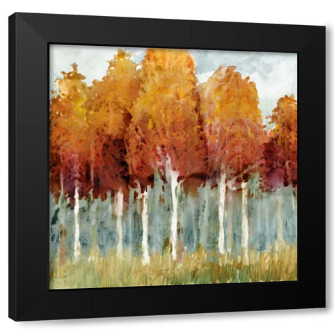 Birch I Black Modern Wood Framed Art Print by Selkirk, Edward