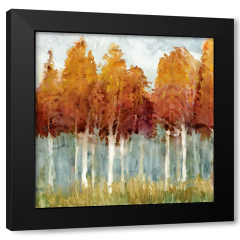 Birch II Black Modern Wood Framed Art Print by Selkirk, Edward