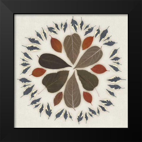 Wreath II Black Modern Wood Framed Art Print by Selkirk, Edward