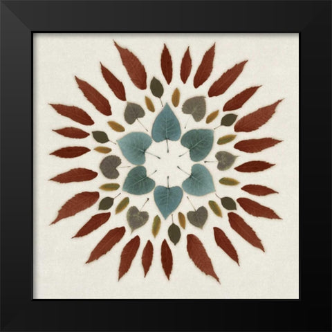 Wreath III Black Modern Wood Framed Art Print by Selkirk, Edward