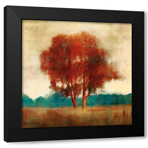 Dreamfall II Black Modern Wood Framed Art Print with Double Matting by Selkirk, Edward