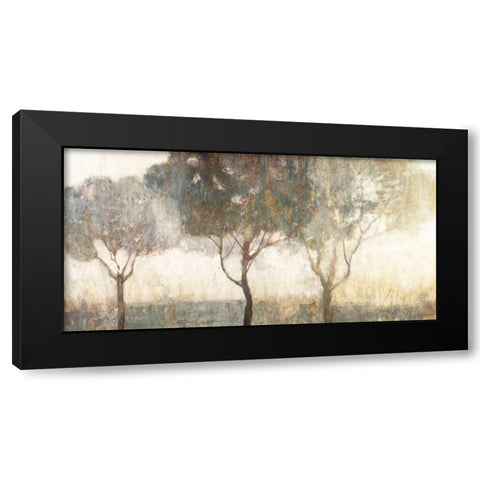 Dawn Black Modern Wood Framed Art Print with Double Matting by Edward Selkirk