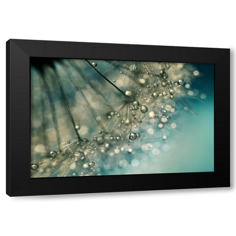 Indigo Sparkles Black Modern Wood Framed Art Print with Double Matting by Johnstone, Sharon