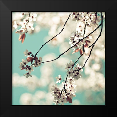 White Blossoms Black Modern Wood Framed Art Print by Cook, Sylvia