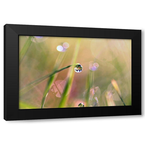 Waterdrop Black Modern Wood Framed Art Print with Double Matting by Cook, Sylvia