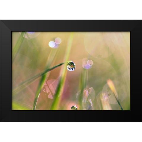 Waterdrop Black Modern Wood Framed Art Print by Cook, Sylvia