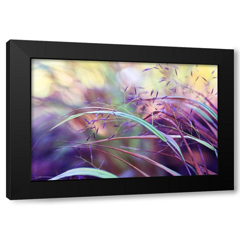 Purple grass Black Modern Wood Framed Art Print with Double Matting by Cook, Sylvia