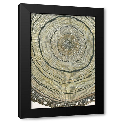 Fir Black Modern Wood Framed Art Print with Double Matting by Pellisier, Sandrine