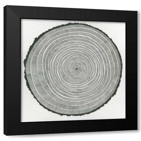 Tree Theory Black Modern Wood Framed Art Print with Double Matting by Pelliser, Sandrine