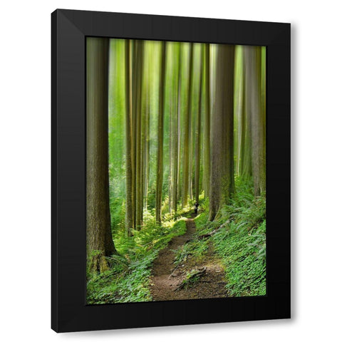 Enchanted Forest Black Modern Wood Framed Art Print with Double Matting by Schwartz, Don