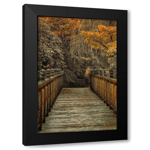 Across the Bridge Black Modern Wood Framed Art Print with Double Matting by Schwartz, Don