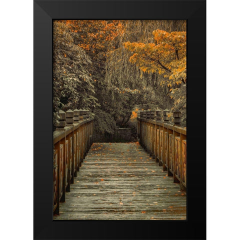 Across the Bridge Black Modern Wood Framed Art Print by Schwartz, Don