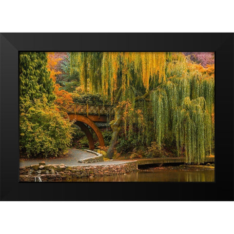 Willows Over the Pond Black Modern Wood Framed Art Print by Schwartz, Don