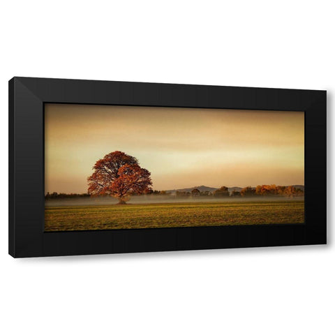 Touched by Fog Black Modern Wood Framed Art Print by Schwartz, Don