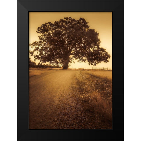 Final Tree Black Modern Wood Framed Art Print by Schwartz, Don
