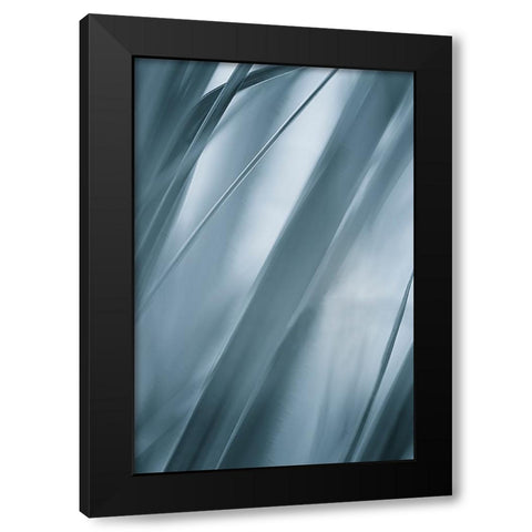 Blades of Grass  Black Modern Wood Framed Art Print with Double Matting by Schwartz, Don