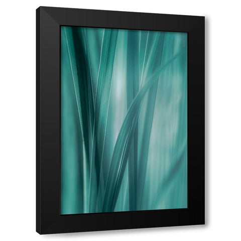 Summer Grasses  Black Modern Wood Framed Art Print by Schwartz, Don
