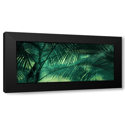 A Sunkissed Palms Black Modern Wood Framed Art Print by Schwartz, Don