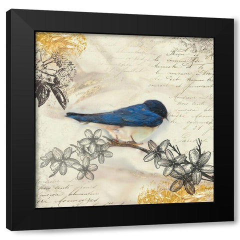 Backyard Birds II Black Modern Wood Framed Art Print with Double Matting by Theodosiou, Matina