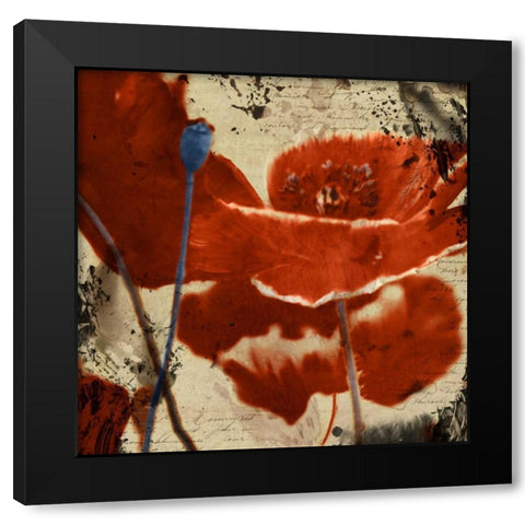 Poppy Love I Black Modern Wood Framed Art Print with Double Matting by Theodosiou, Matina