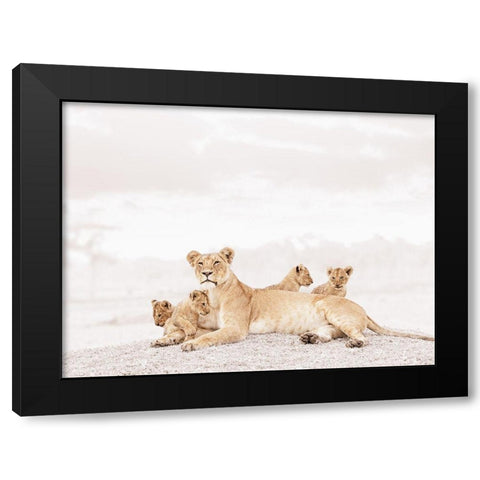 Proud Lioness  Black Modern Wood Framed Art Print by Tiedge