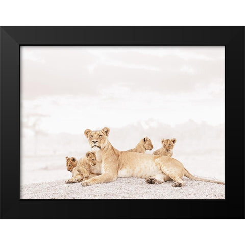 Proud Lioness  Black Modern Wood Framed Art Print by Tiedge