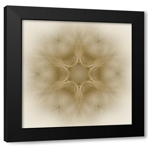 Sunbeam Flower Black Modern Wood Framed Art Print with Double Matting by Petra Trimmel