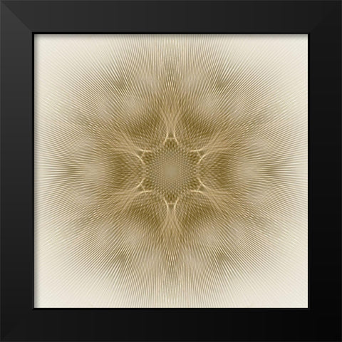 Sunbeam Flower Black Modern Wood Framed Art Print by Petra Trimmel