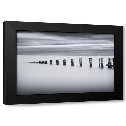 Stilts and Gulls Black Modern Wood Framed Art Print with Double Matting by Tennant, Chris