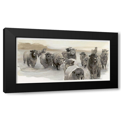 Winter Sheeps II  Black Modern Wood Framed Art Print with Double Matting by Stellar  Design Studio