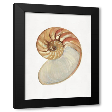 Nautilus Shell II  Black Modern Wood Framed Art Print by Stellar  Design Studio