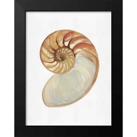 Nautilus Shell II  Black Modern Wood Framed Art Print by Stellar  Design Studio