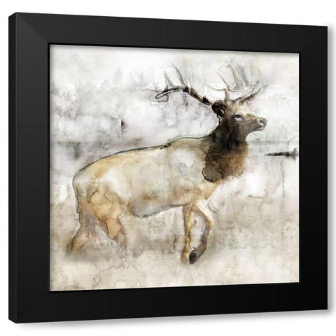 Mountain Elk I Black Modern Wood Framed Art Print with Double Matting by Stellar Design Studio
