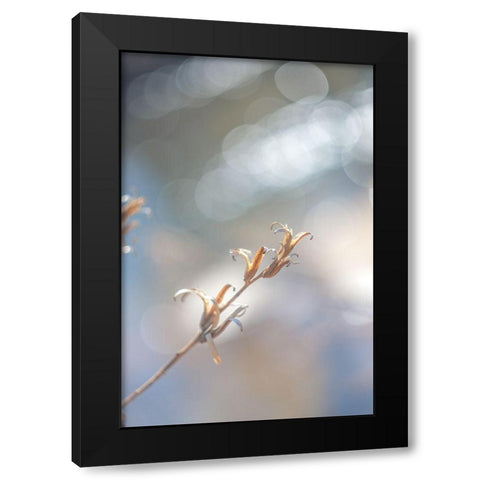 Spring Branch I  Black Modern Wood Framed Art Print by J:L Design