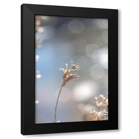 Spring Branch II Black Modern Wood Framed Art Print with Double Matting by J:L Design