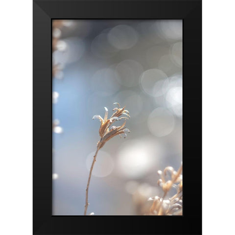 Spring Branch II Black Modern Wood Framed Art Print by J:L Design
