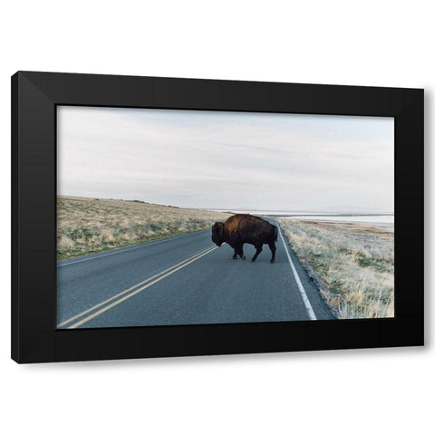 Bison Crossing  Black Modern Wood Framed Art Print by Victoria, Chelsea