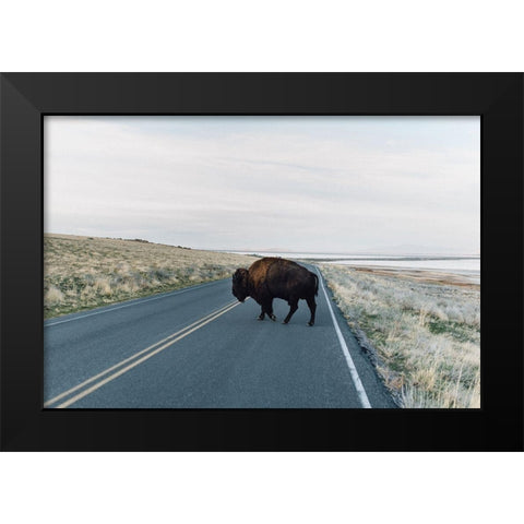 Bison Crossing  Black Modern Wood Framed Art Print by Victoria, Chelsea