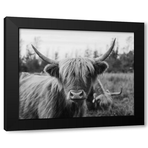Cattle Smile  Black Modern Wood Framed Art Print with Double Matting by Kedron, Chelsea