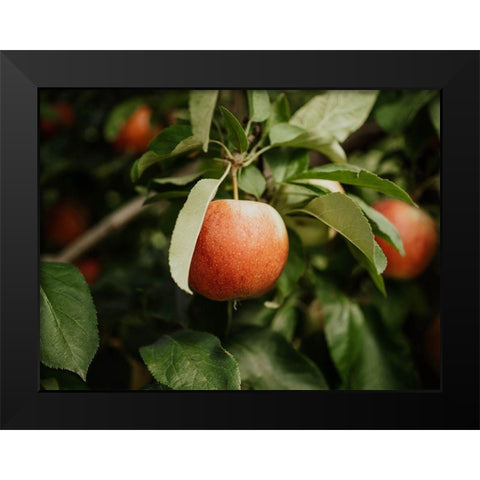 The Red Apple  Black Modern Wood Framed Art Print by Kedron, Chelsea