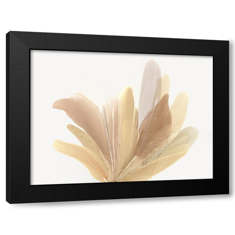 Twilight Bloom II Black Modern Wood Framed Art Print with Double Matting by McFarland, Vicki